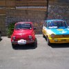 Pioppo 2008 (67)